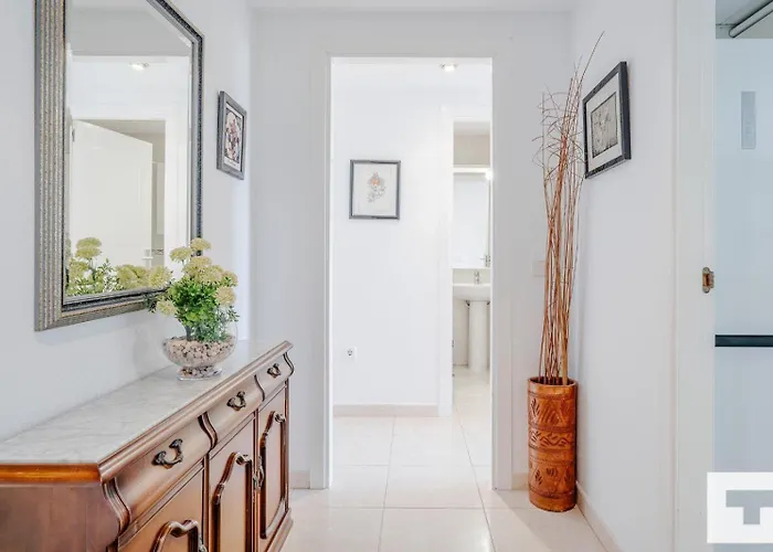 Apolo Xvii 22 - Grupo Turis *